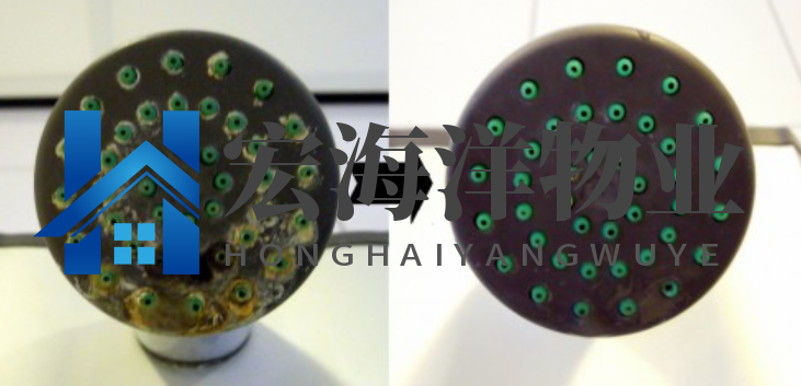 清洗淋浴噴頭有困難？有了這個技巧就很容易了！